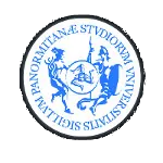 Università di Palermo