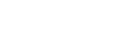 Università degli studi di Palermo